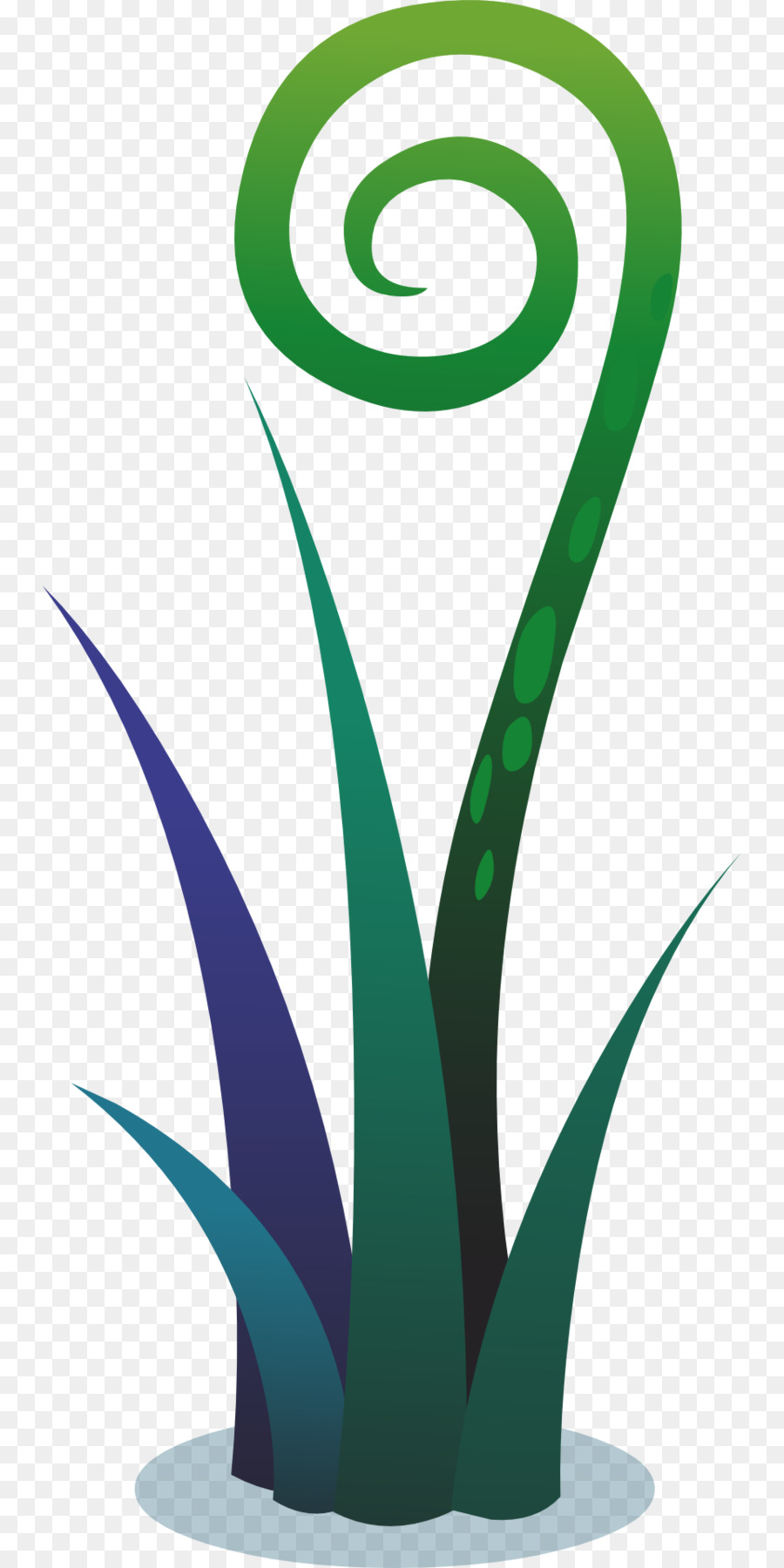 Plante，Fougère PNG