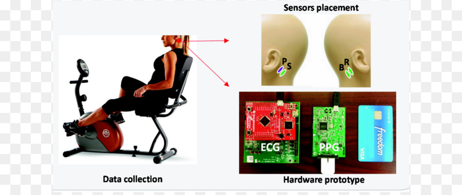 électrocardiographie，La Fréquence Cardiaque PNG