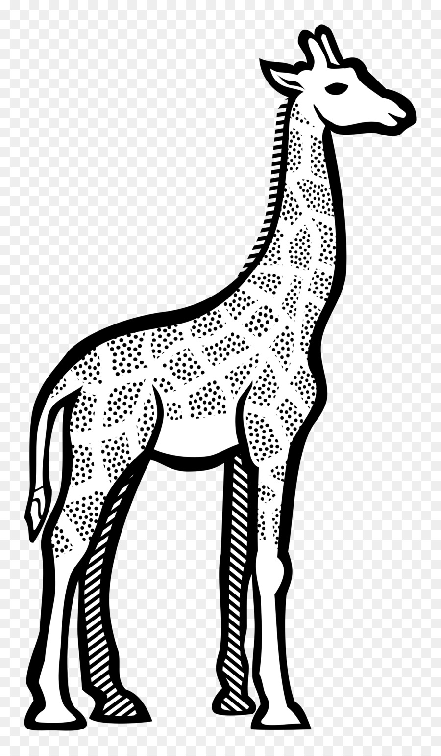 Dessin De Girafe，Animal PNG