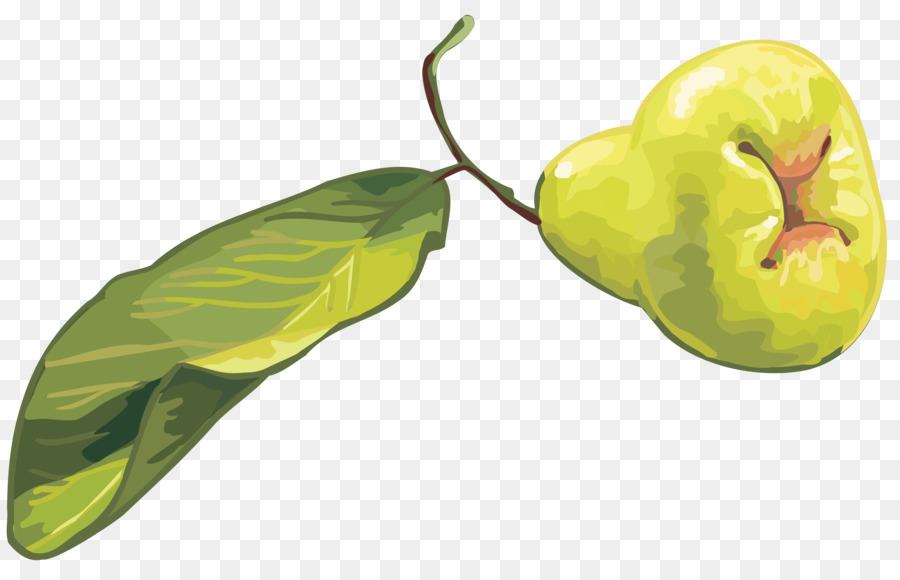 La Nourriture，Fruits PNG