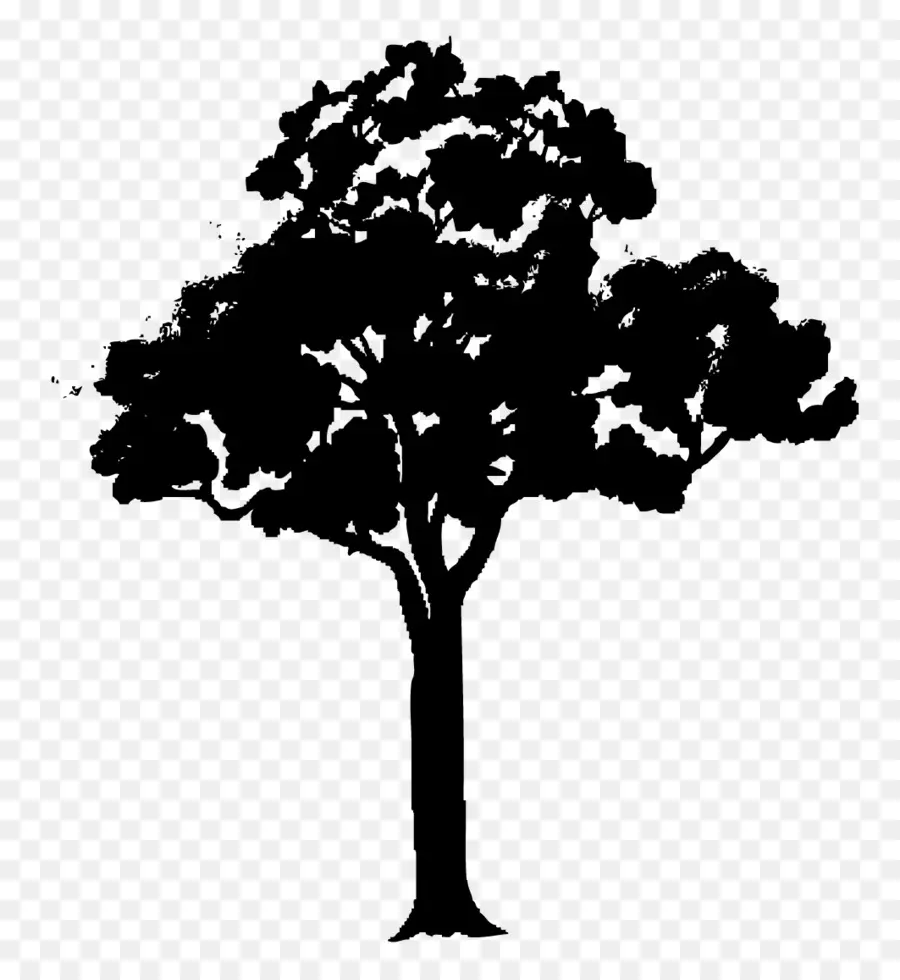 Silhouette D'arbre，Noir PNG