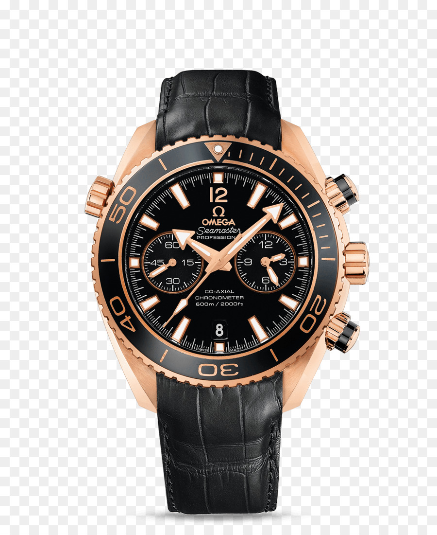 Montre Bracelet，Montre PNG