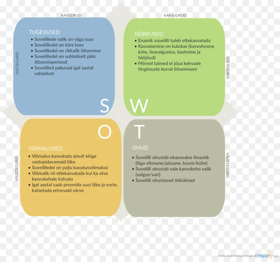 Analyse Swot，Entreprise PNG