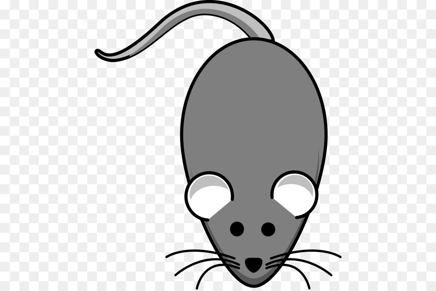 Souris，Noir PNG