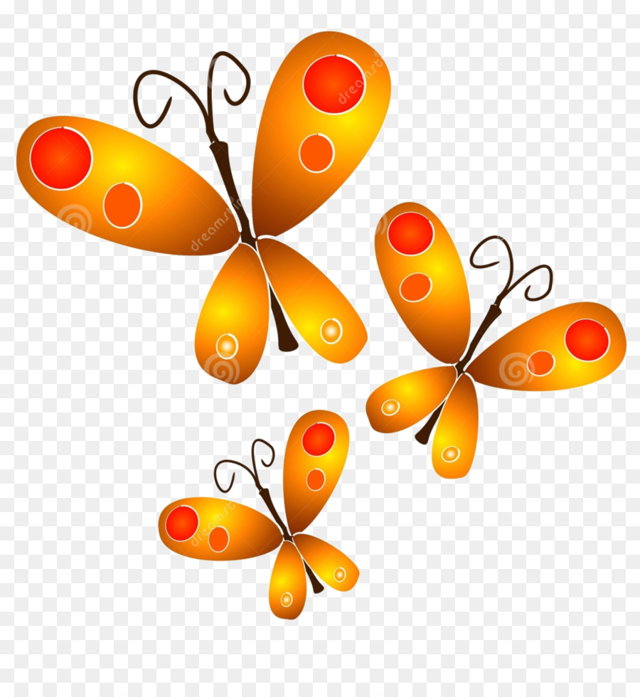 Papillon，Dessin PNG