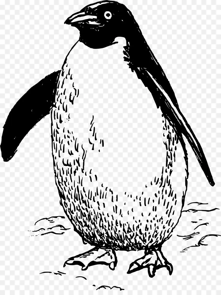Pingouin，L Art En Ligne PNG