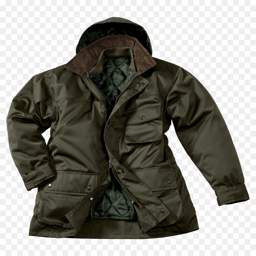 Veste Verte，Hiver PNG