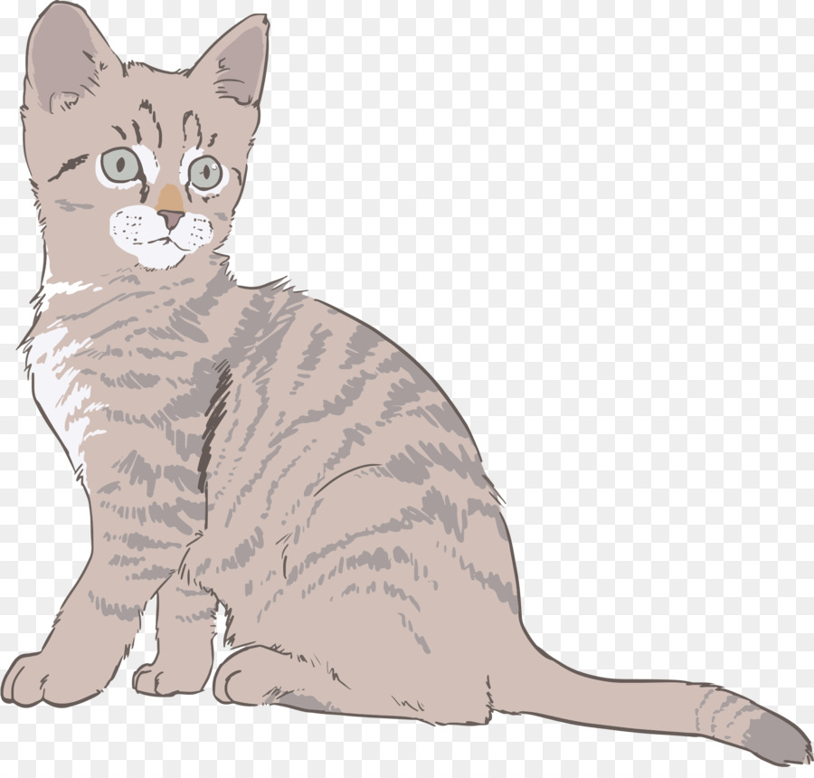 Dessin De Chat，Animal De Compagnie PNG