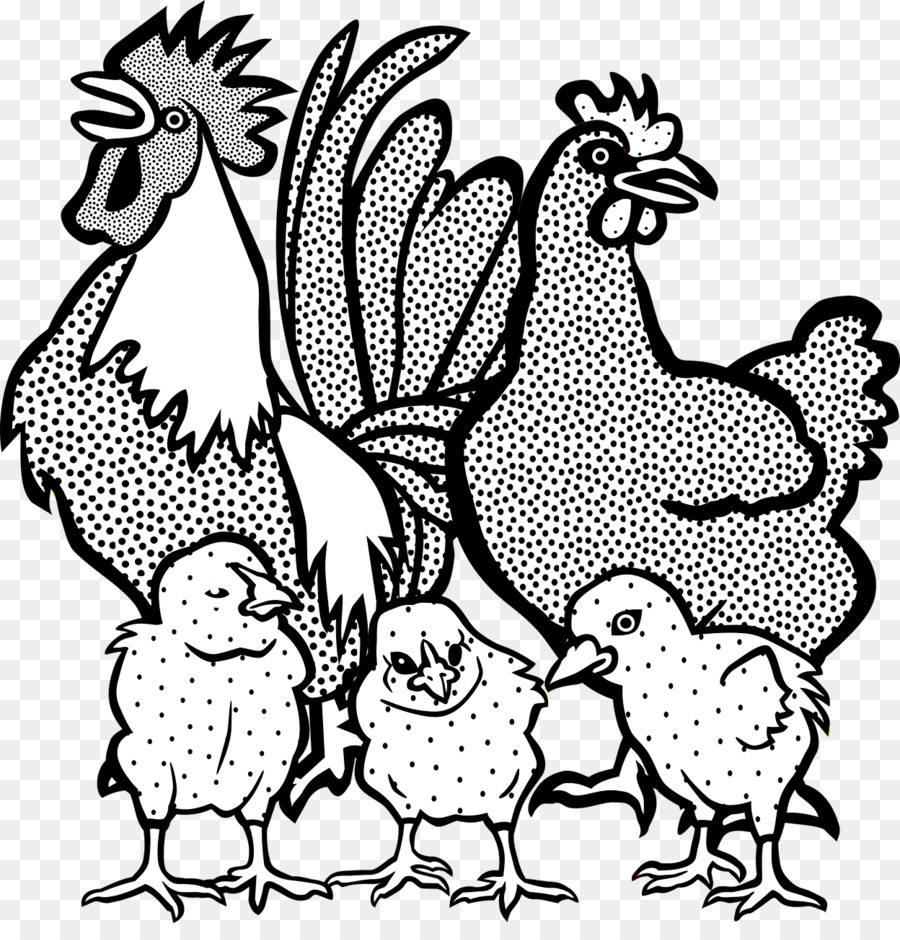 Poulets，Coq PNG