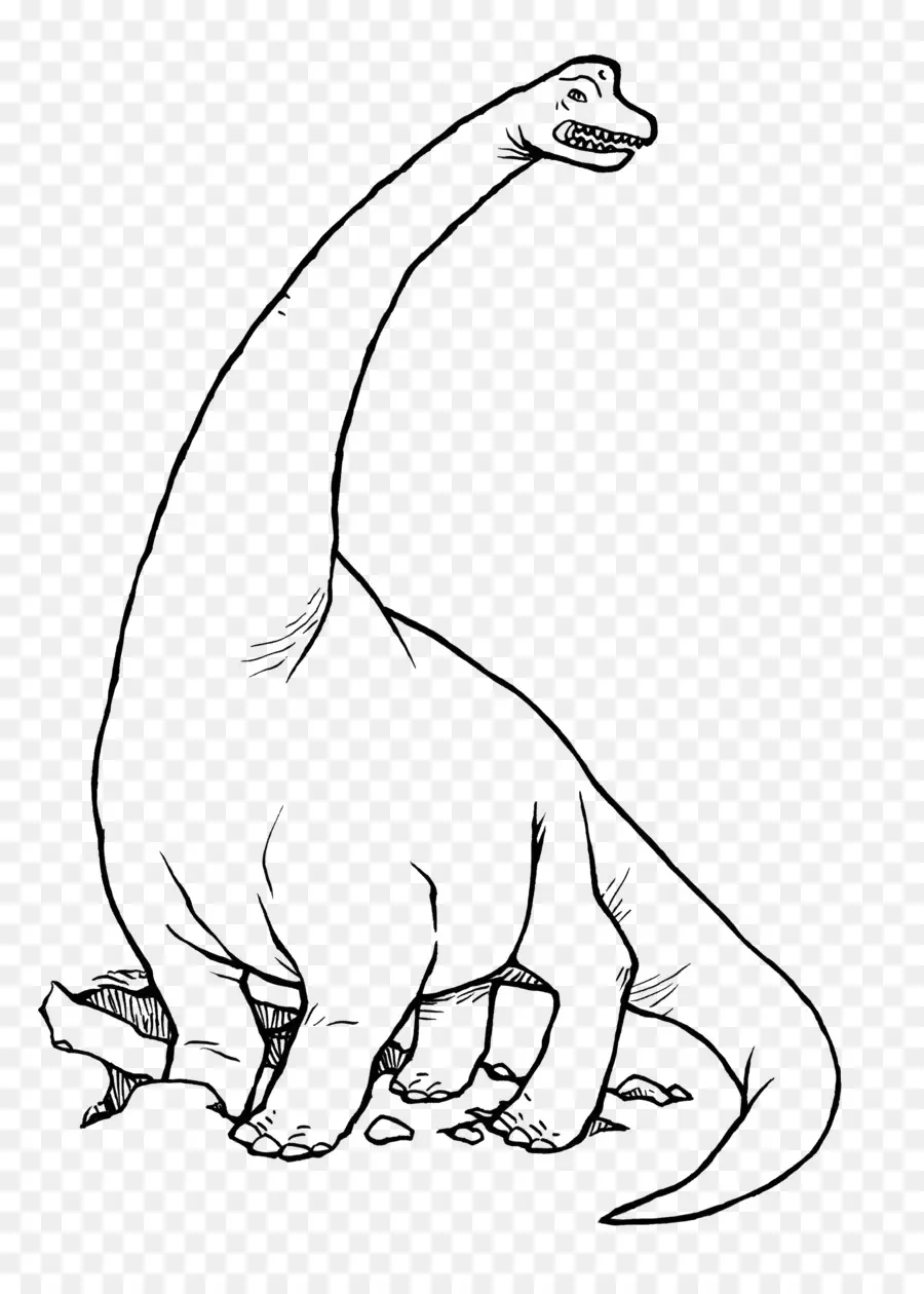 Dinosaure，Long Cou PNG