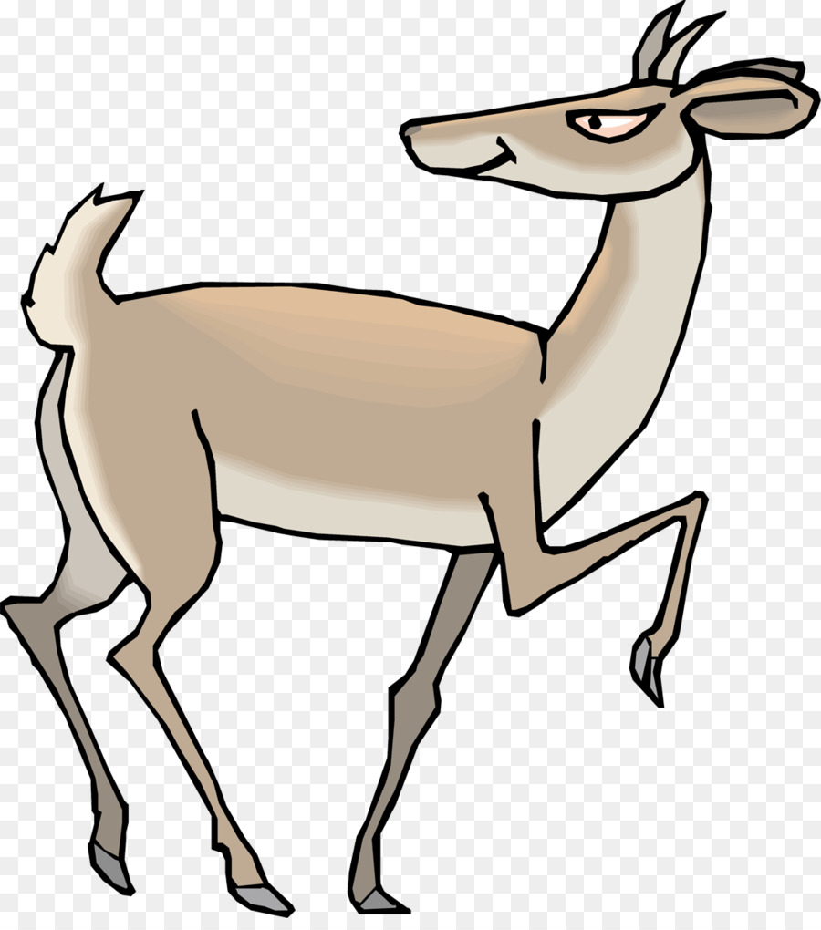 L Antilope，Des Antilopes PNG
