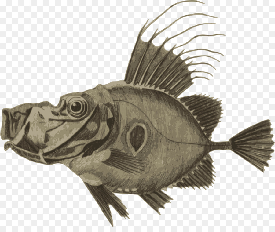 Les Poissons，Dessin PNG