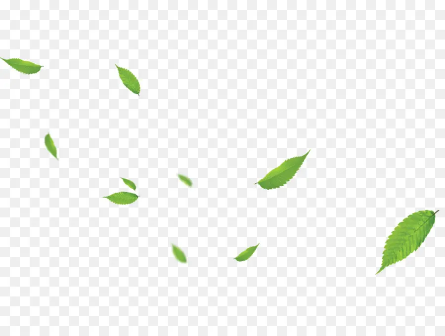 Feuilles Qui Tombent，Automne PNG