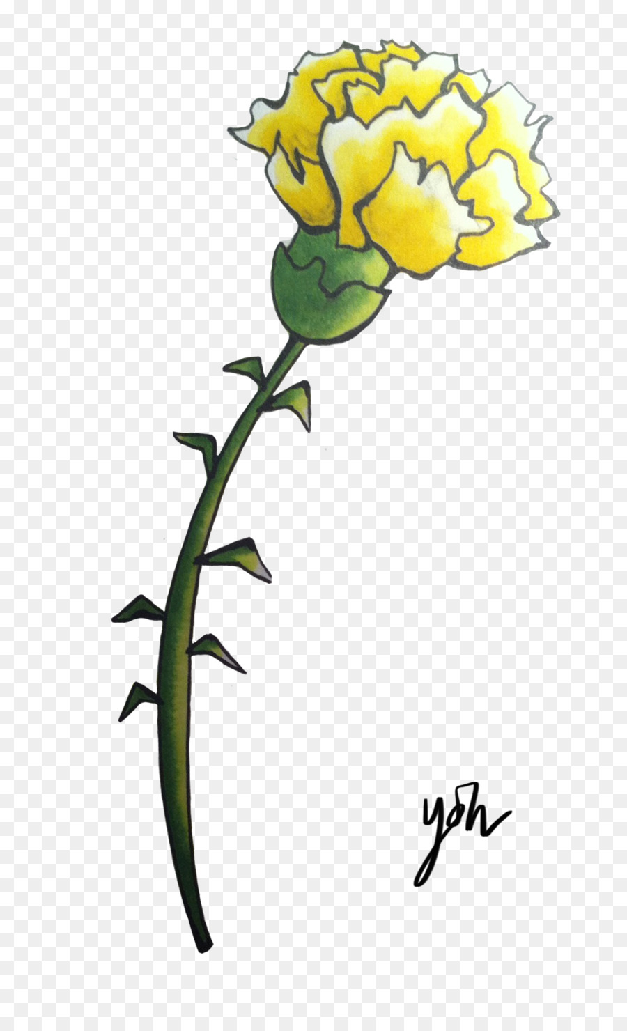 Fleur，Les Fleurs Coupées PNG