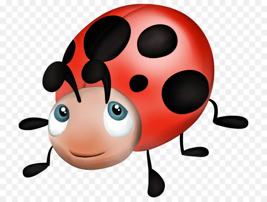 Coccinelle Mignonne，Rouge PNG