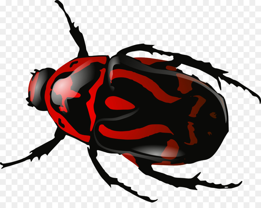 Coccinelle，Bogue PNG