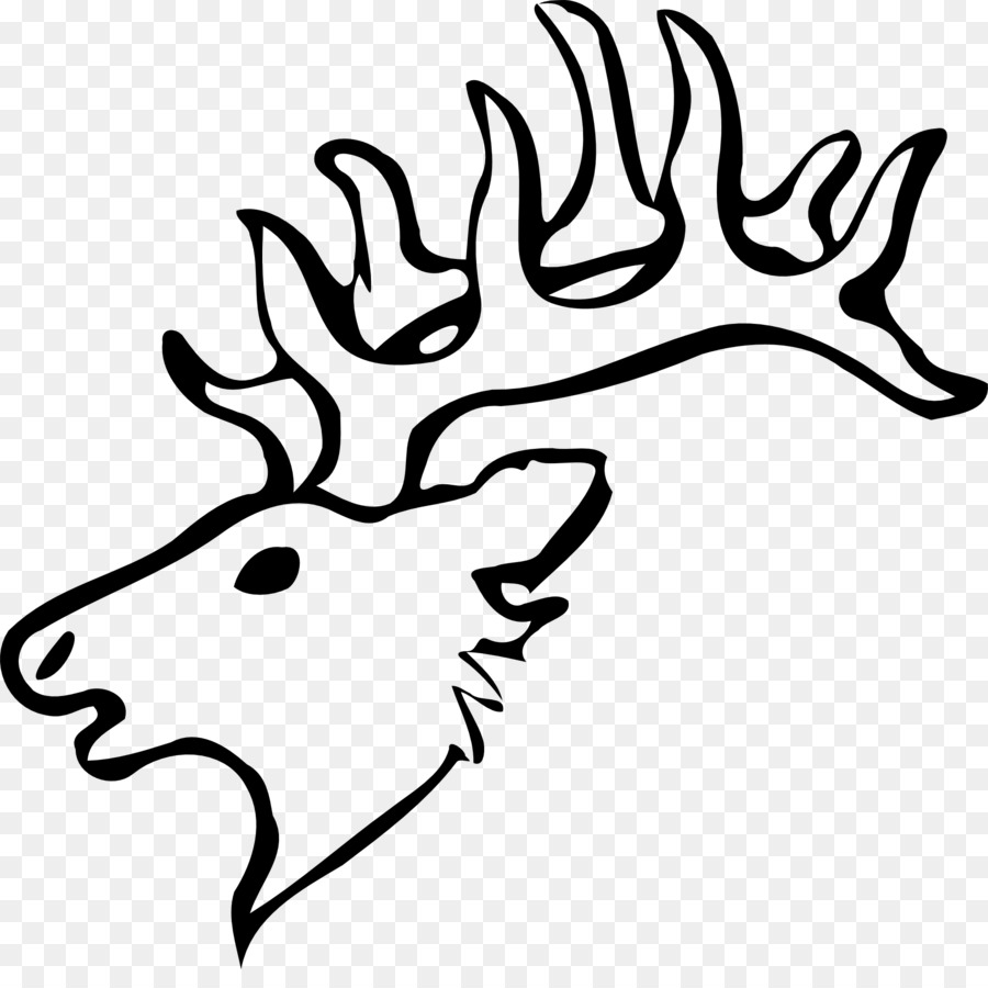 Tête De Cerf，Bois PNG