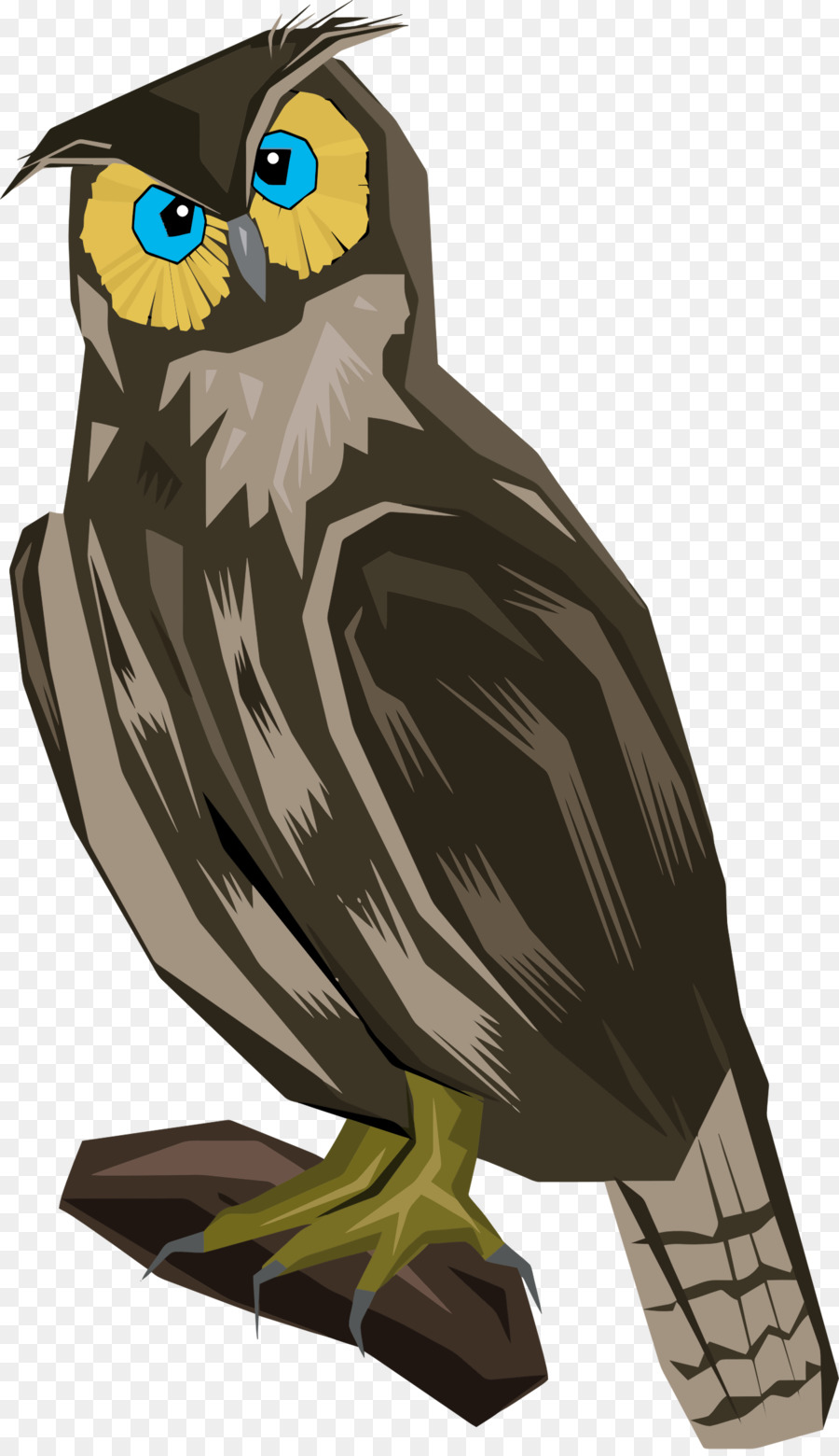 Chouette De Dessin Animé，Hibou PNG