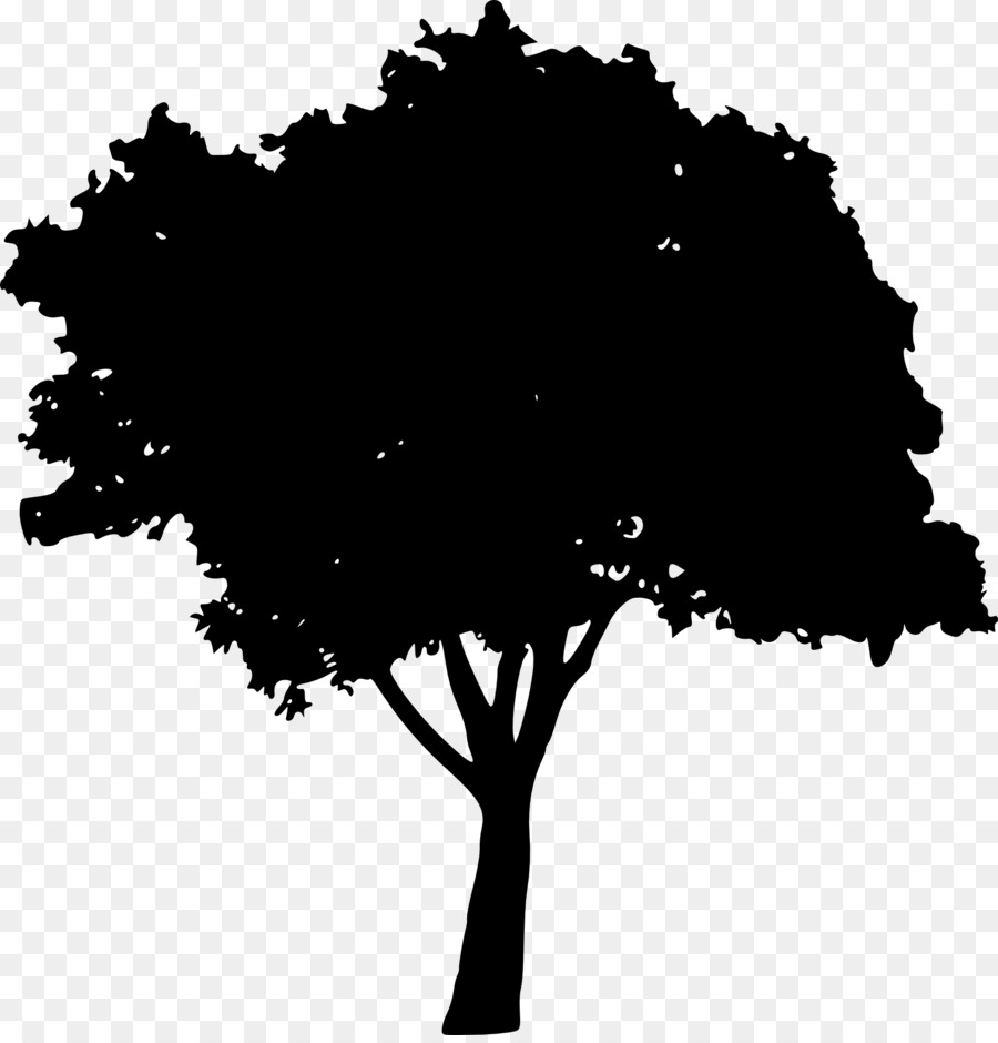 Silhouette D'arbre，Usine PNG