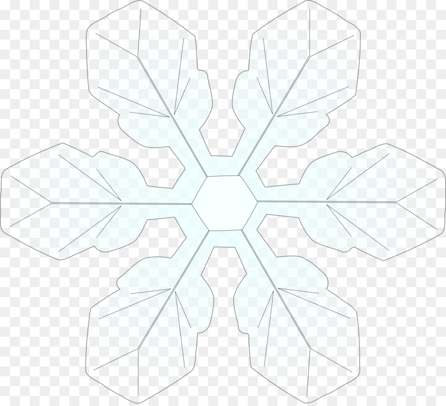 Flocon De Neige Blanc，Glace PNG