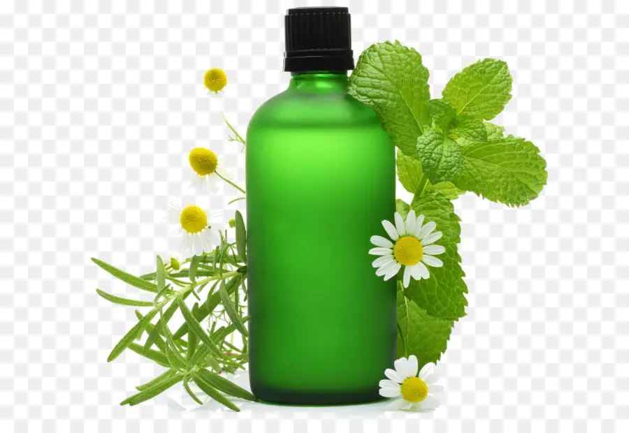 Bouteille Verte，Herbes PNG