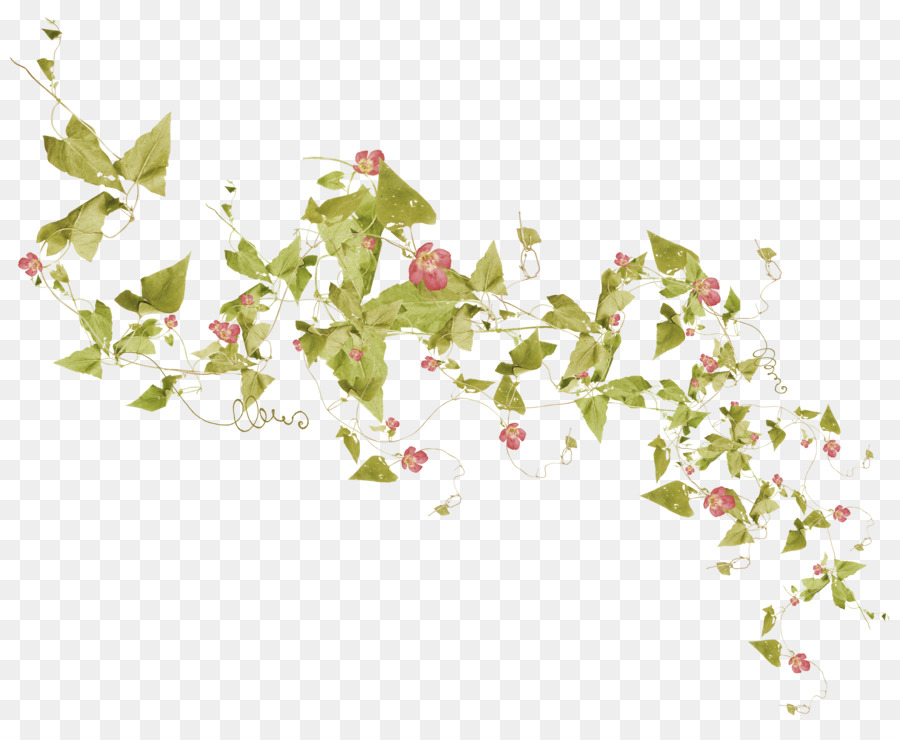 Fleurs，Feuilles PNG