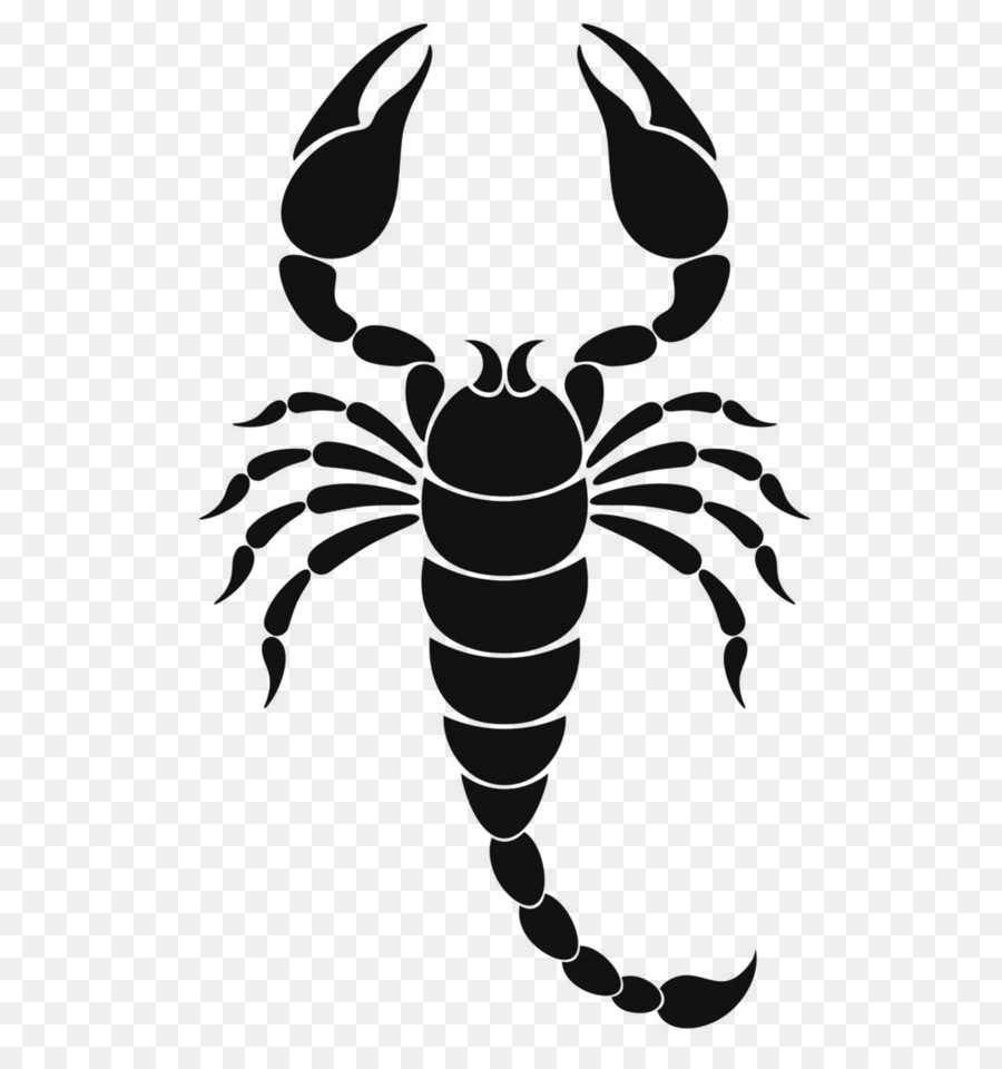 Scorpion Zodiaque Signe Astrologique Png Scorpion Zodiaque Signe Astrologique Transparentes Png Gratuit