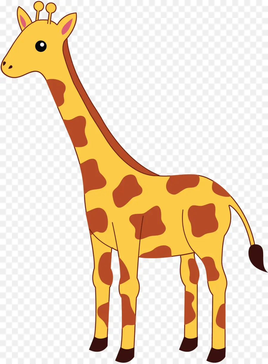 Girafe Orange，Animal PNG