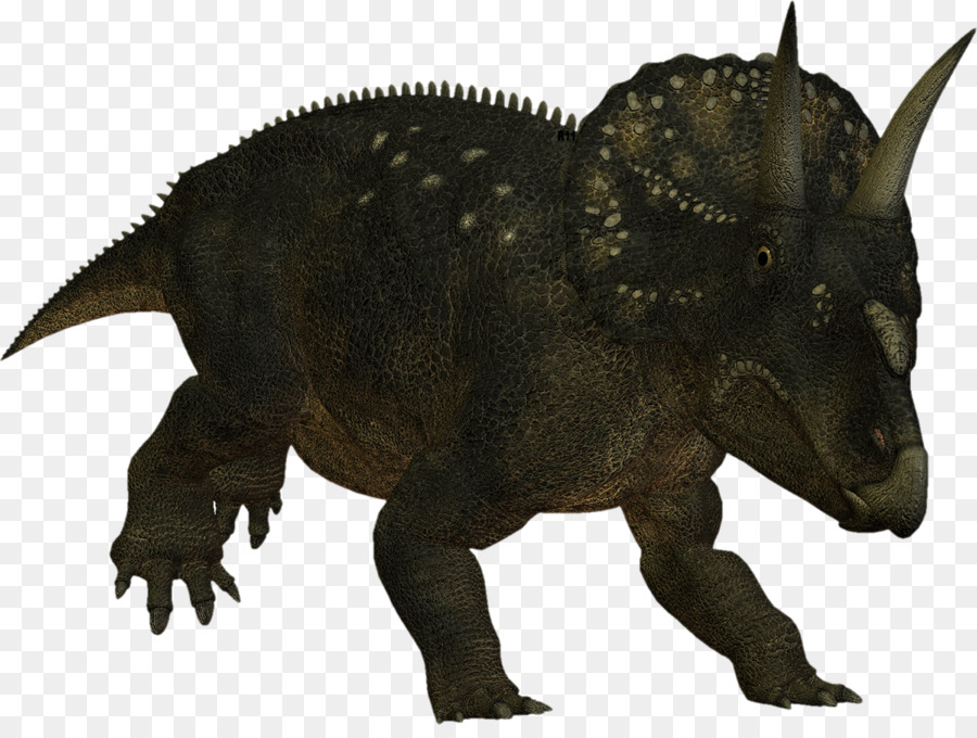 Tricératops，Nedoceratops PNG