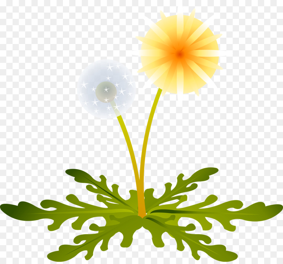 Fleurs De Pissenlit，Fleur PNG