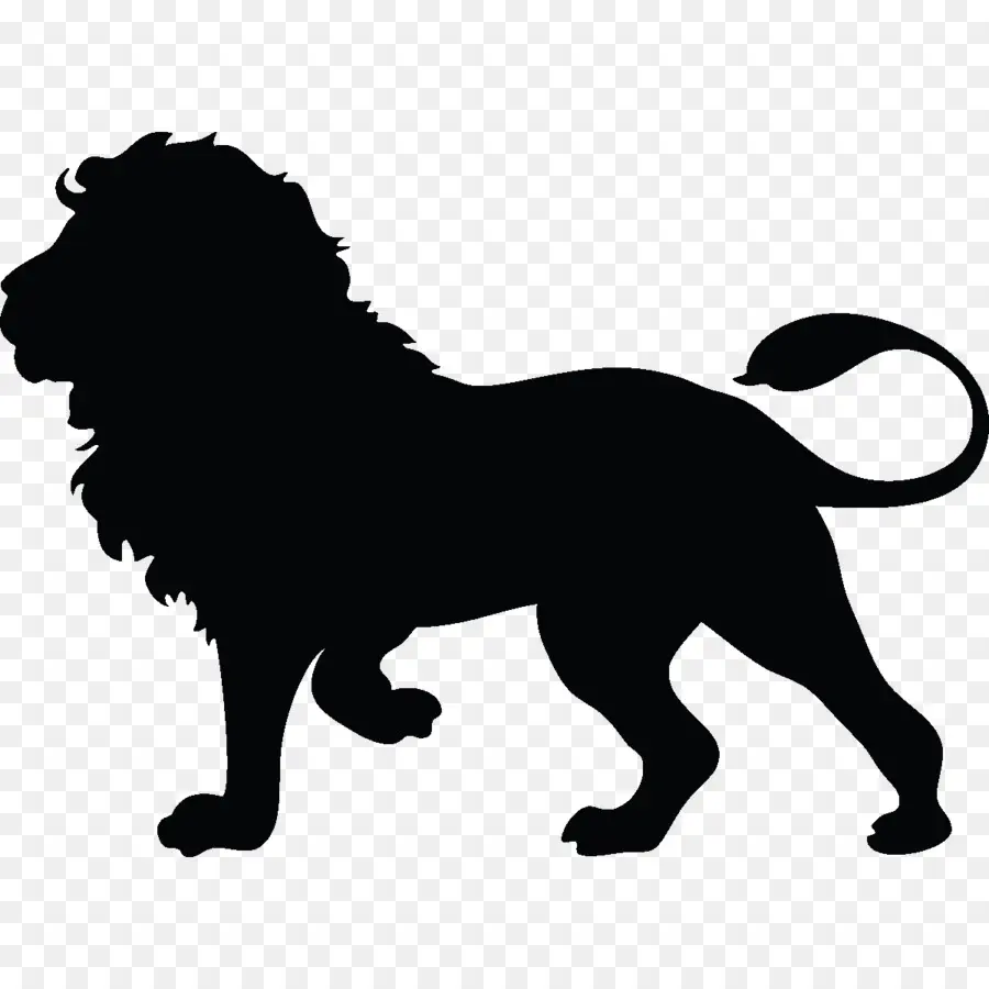 Lion，Silhouette PNG