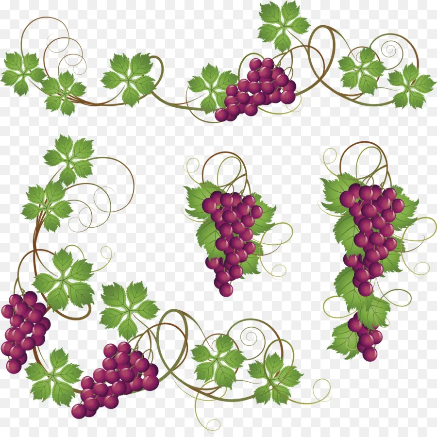 Raisins，Vigne PNG