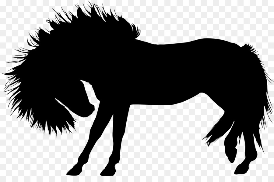 Silhouette De Cheval，Équin PNG