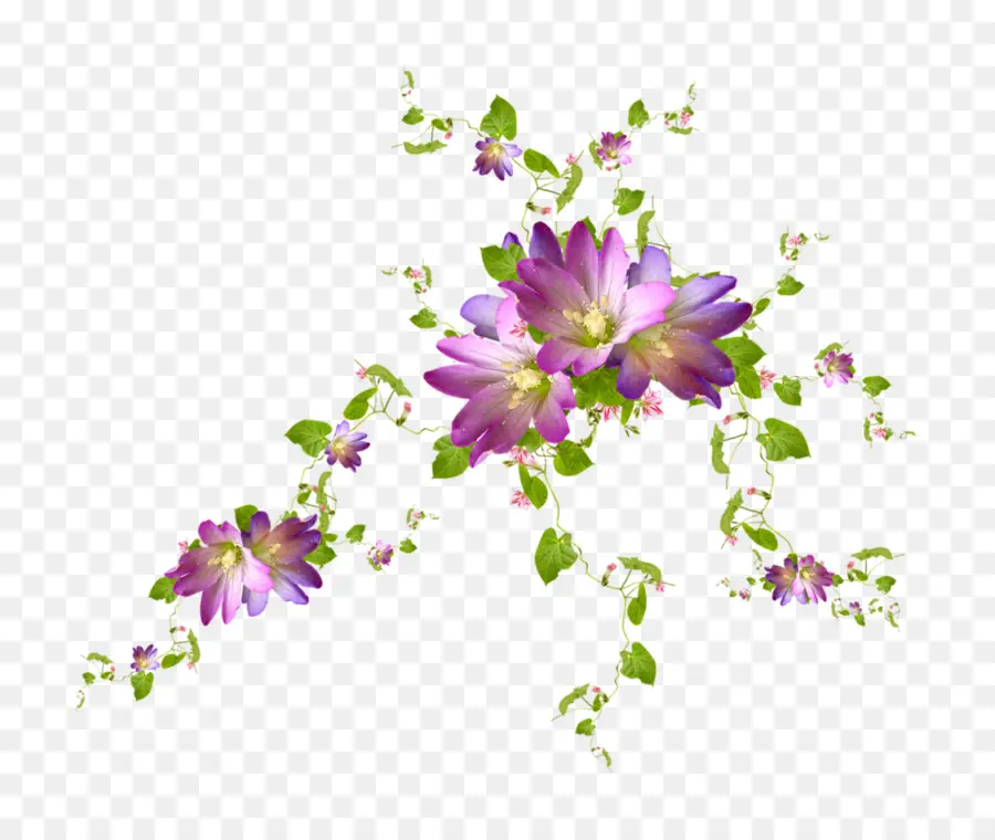 Fleurs，Violet PNG