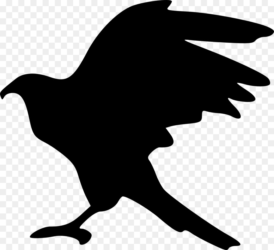 Aigle Silhouette，Faucon PNG