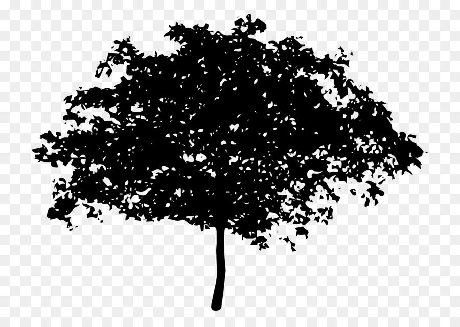 Silhouette D'arbre，Feuilles PNG