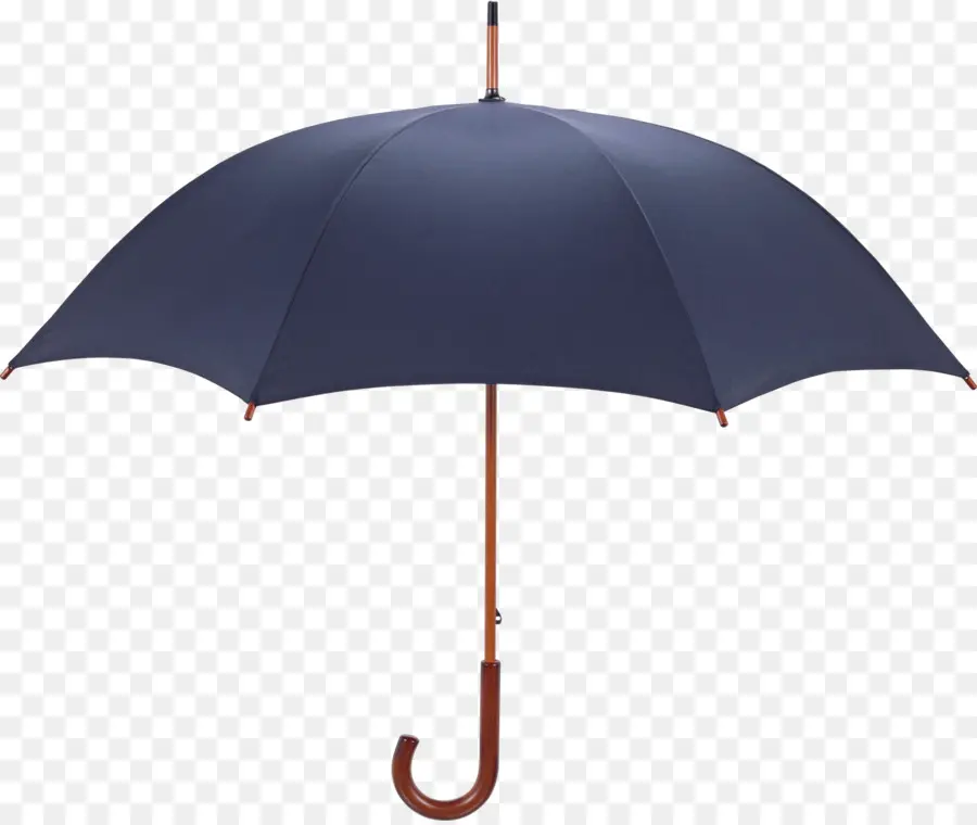 Parapluie Bleu，Pluie PNG