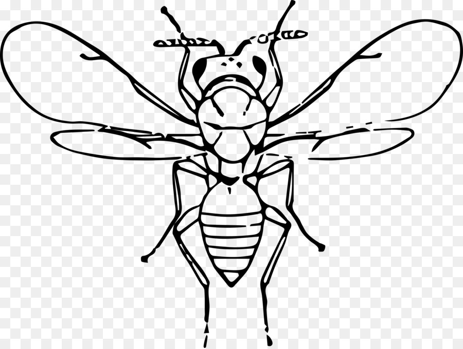 Abeille，Ailes PNG