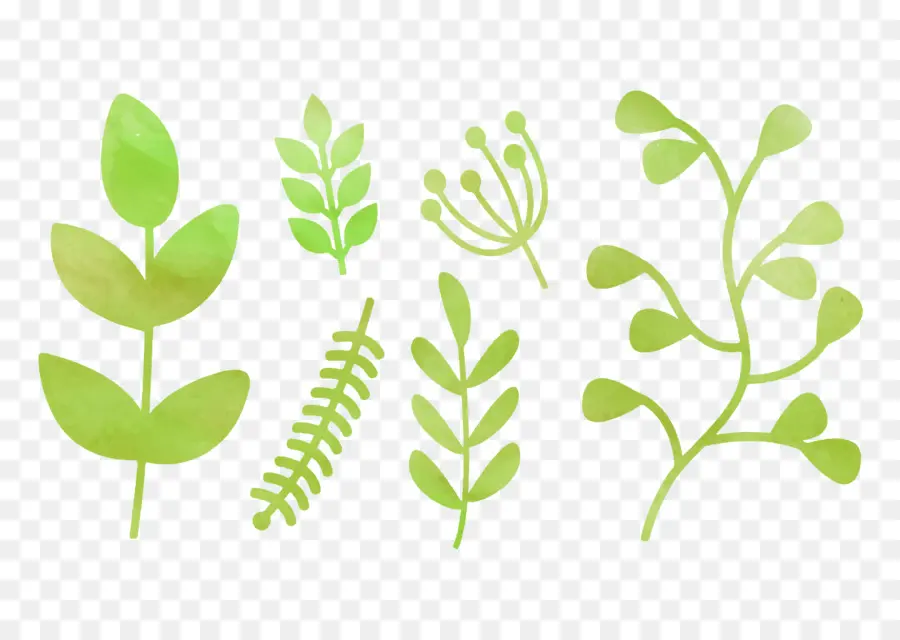 Feuilles Vertes，Plantes PNG