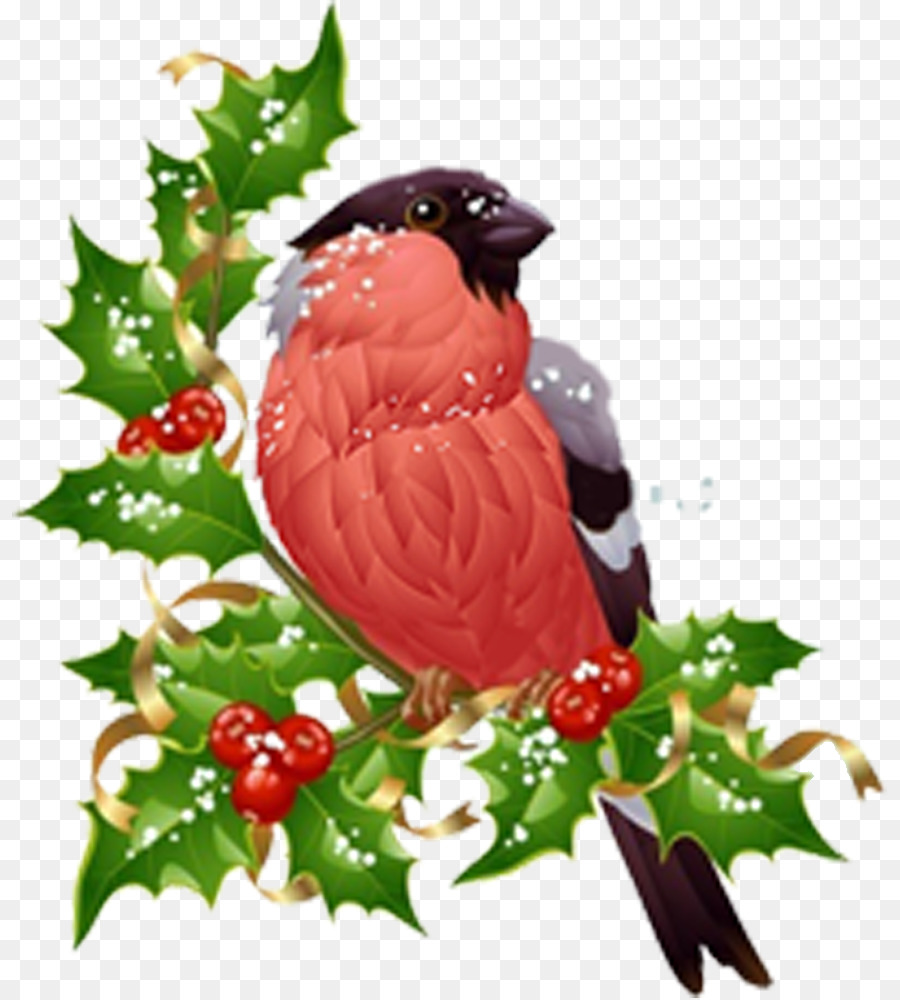 Oiseau，Chapeau De Père Noël PNG