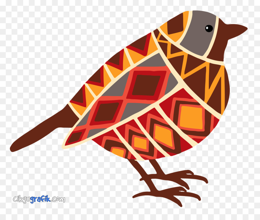 Oiseau Coloré，Modèle PNG