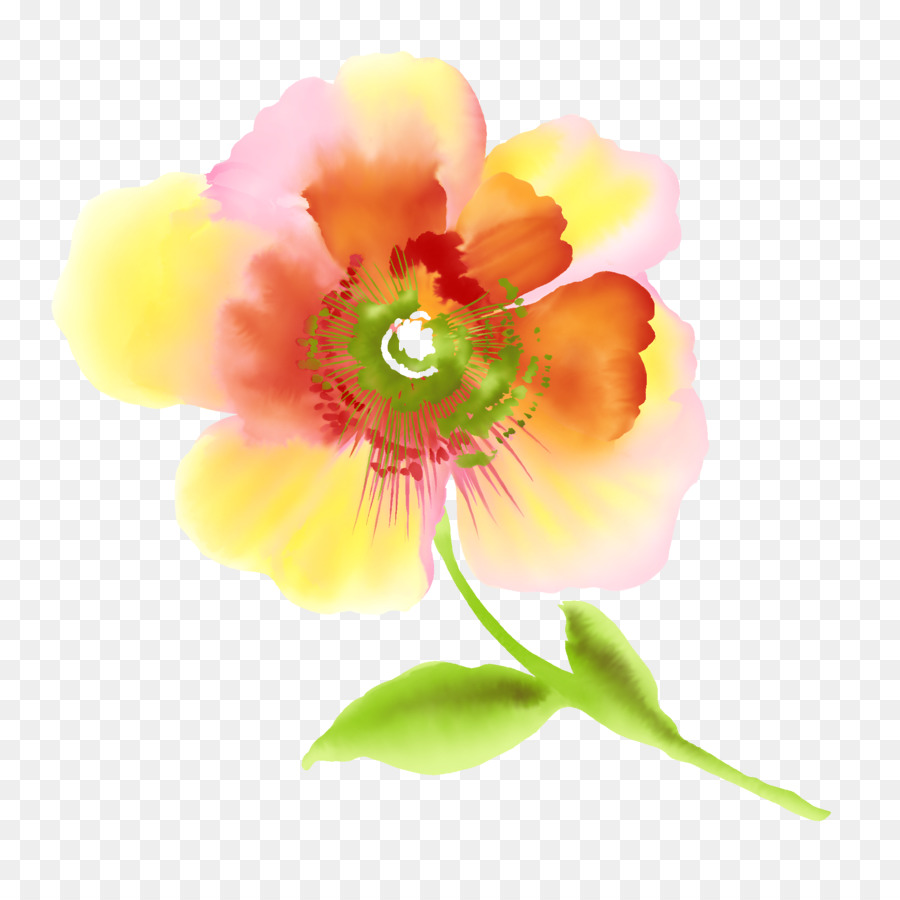 Fleur Décorative，Rose PNG