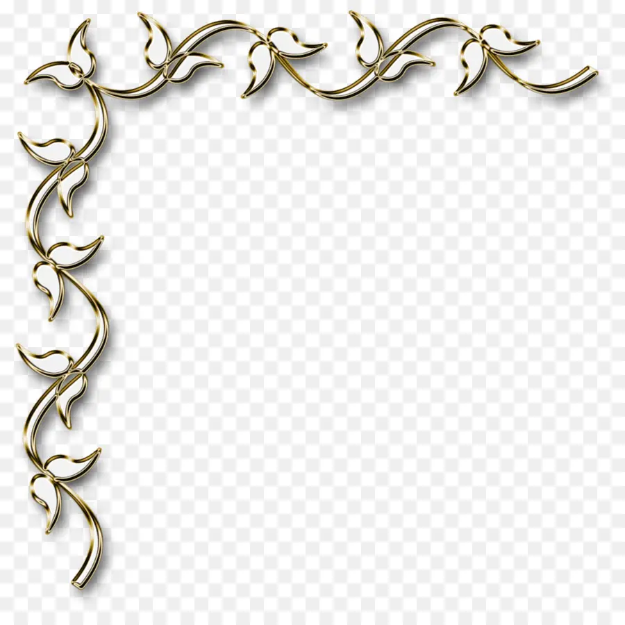 Bordure Décorative，Floral PNG