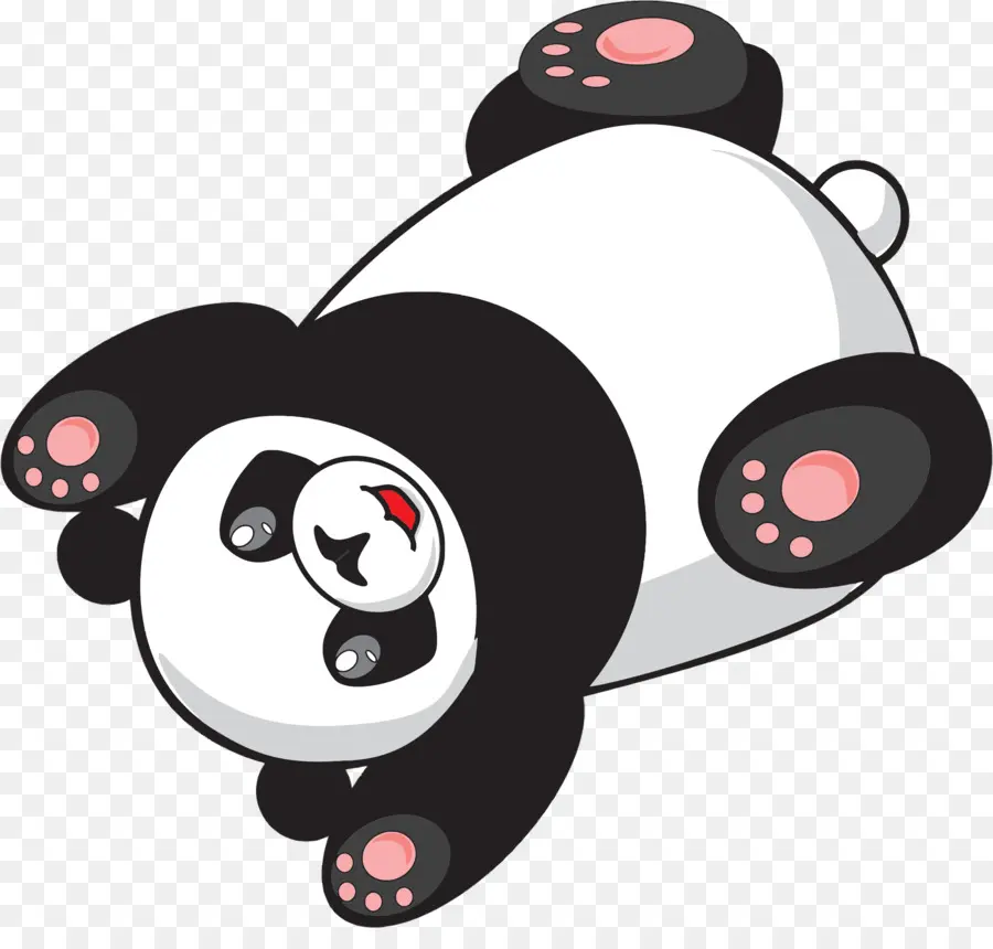 Panda Géant，Panda Rouge PNG