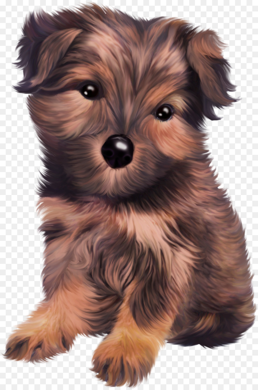 Chiot Brun Et Blanc，Animal De Compagnie PNG