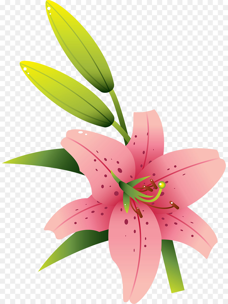 Fleur Rose，Fleurir PNG