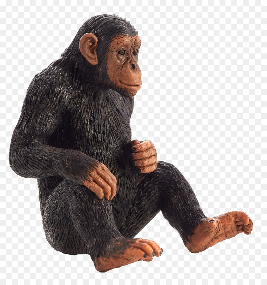 Singe Qui Marche，Singe PNG