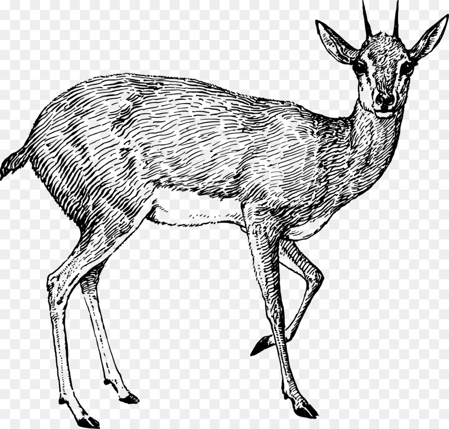 Cerf，Bois PNG