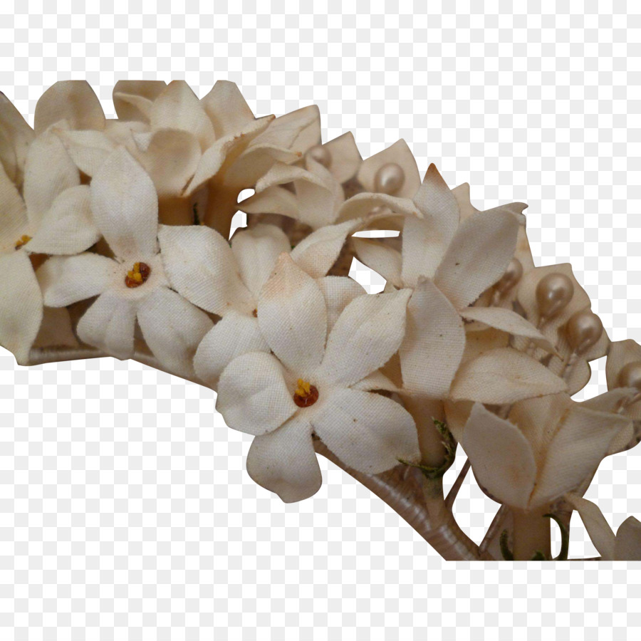 Fleurs Blanches，Fleurir PNG