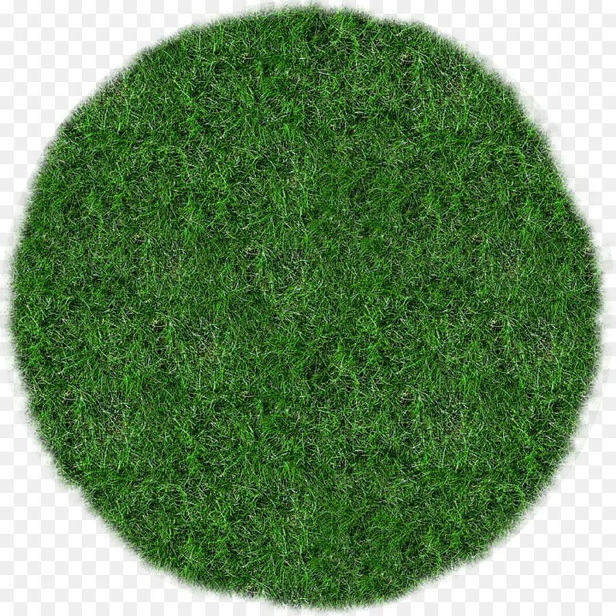 Cercle Vert，Herbe PNG